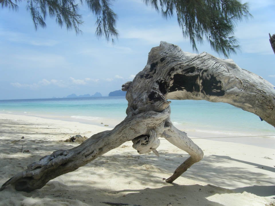 Massage in Edinburgh