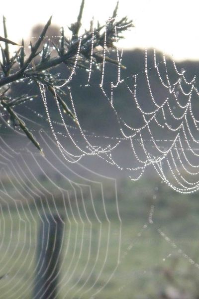 ATT_1433754788434_P1090874